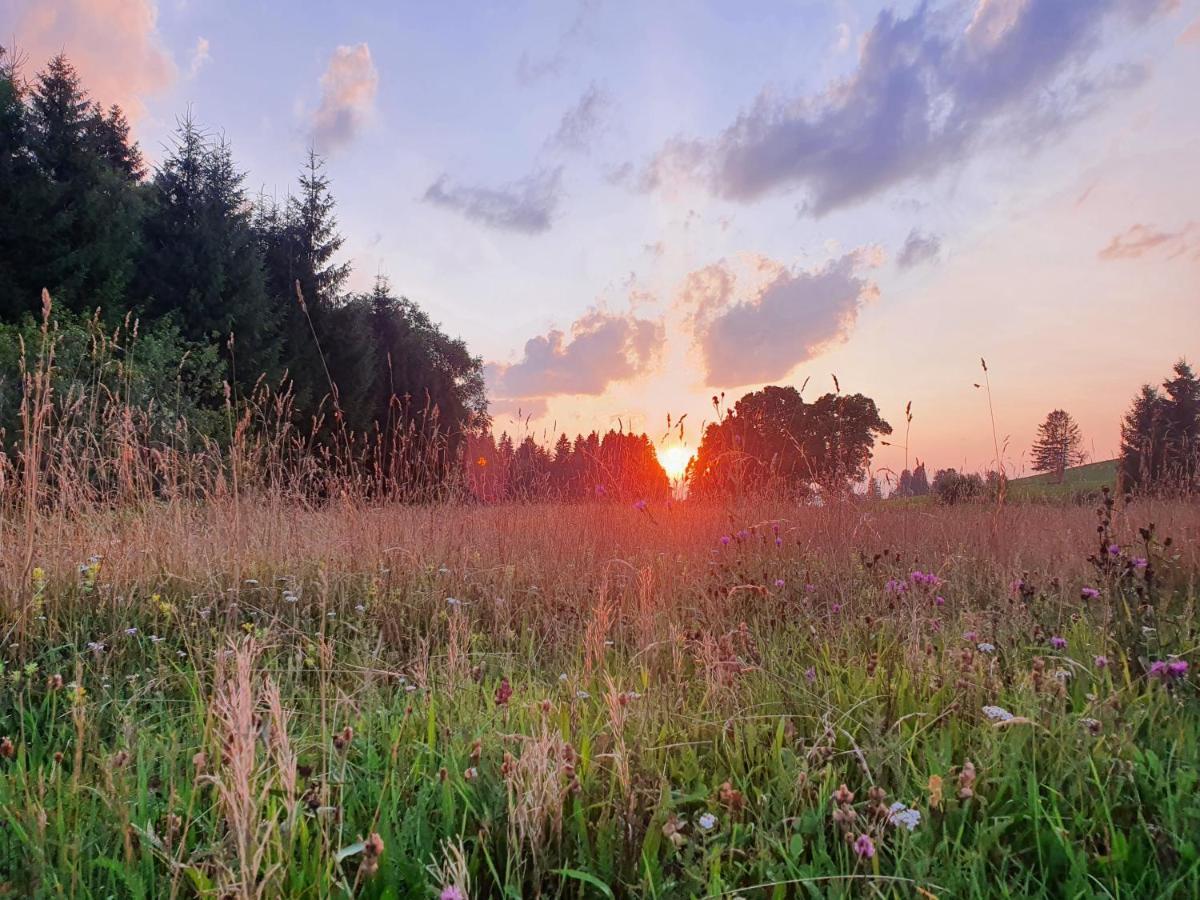 Seehotel Hartung & Ferienappartements Füssen 외부 사진